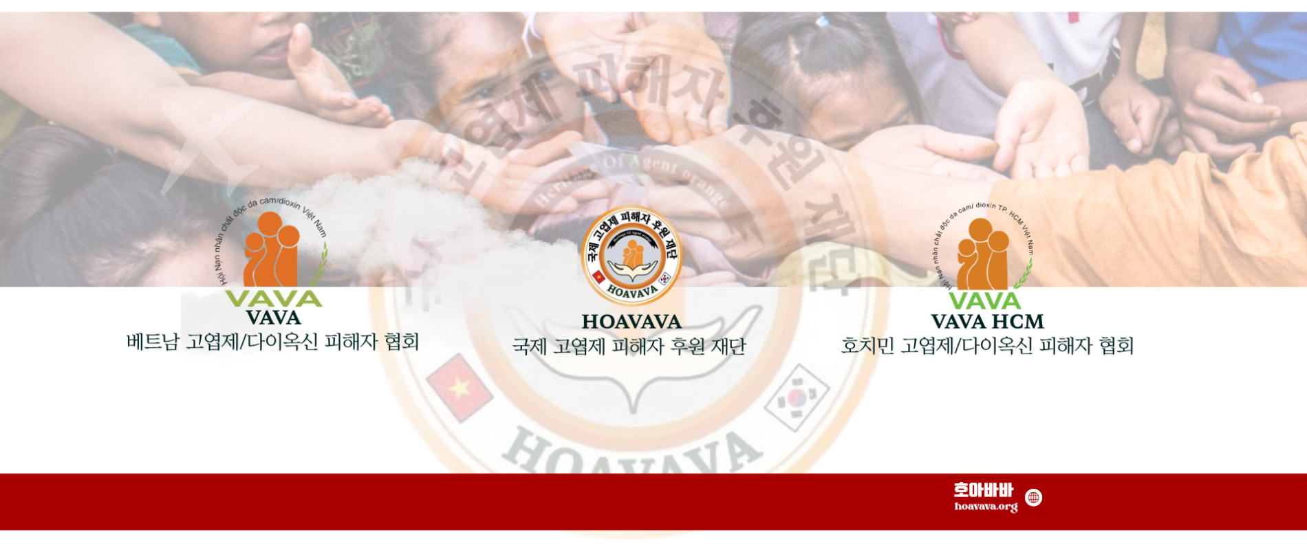 HOA VAVA 